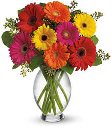 Gerbera Brights from Maplehurst Florist, local flower shop in Essex Junction